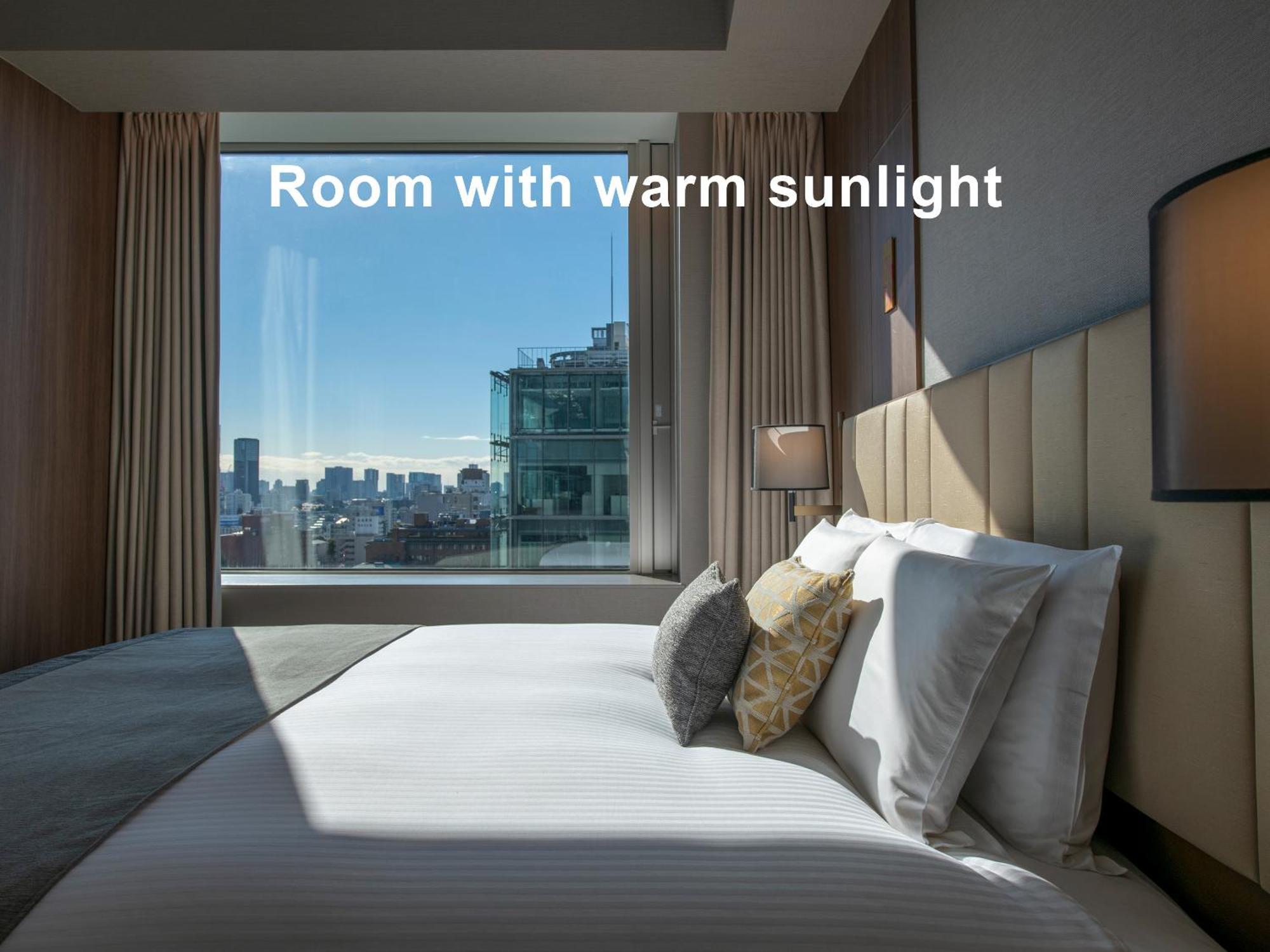 Mitsui Garden Hotel Roppongi Tokyo Premier Εξωτερικό φωτογραφία Room with warm sunlight
